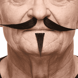 Bigote y perilla para disfraz