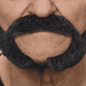 Bigote y barba para disfraz